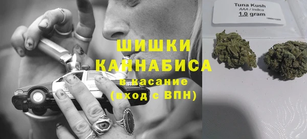 винт Касимов