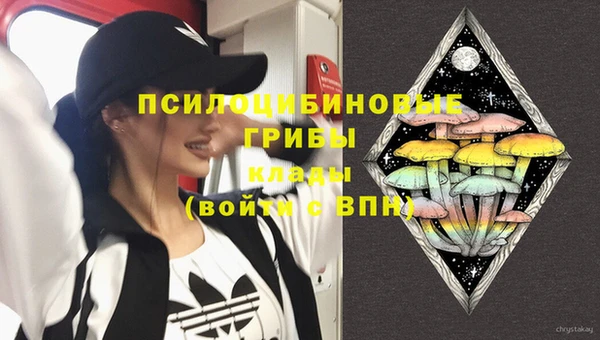 винт Касимов