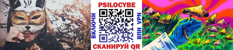 Купить  Тула  Галлюциногенные грибы мицелий 